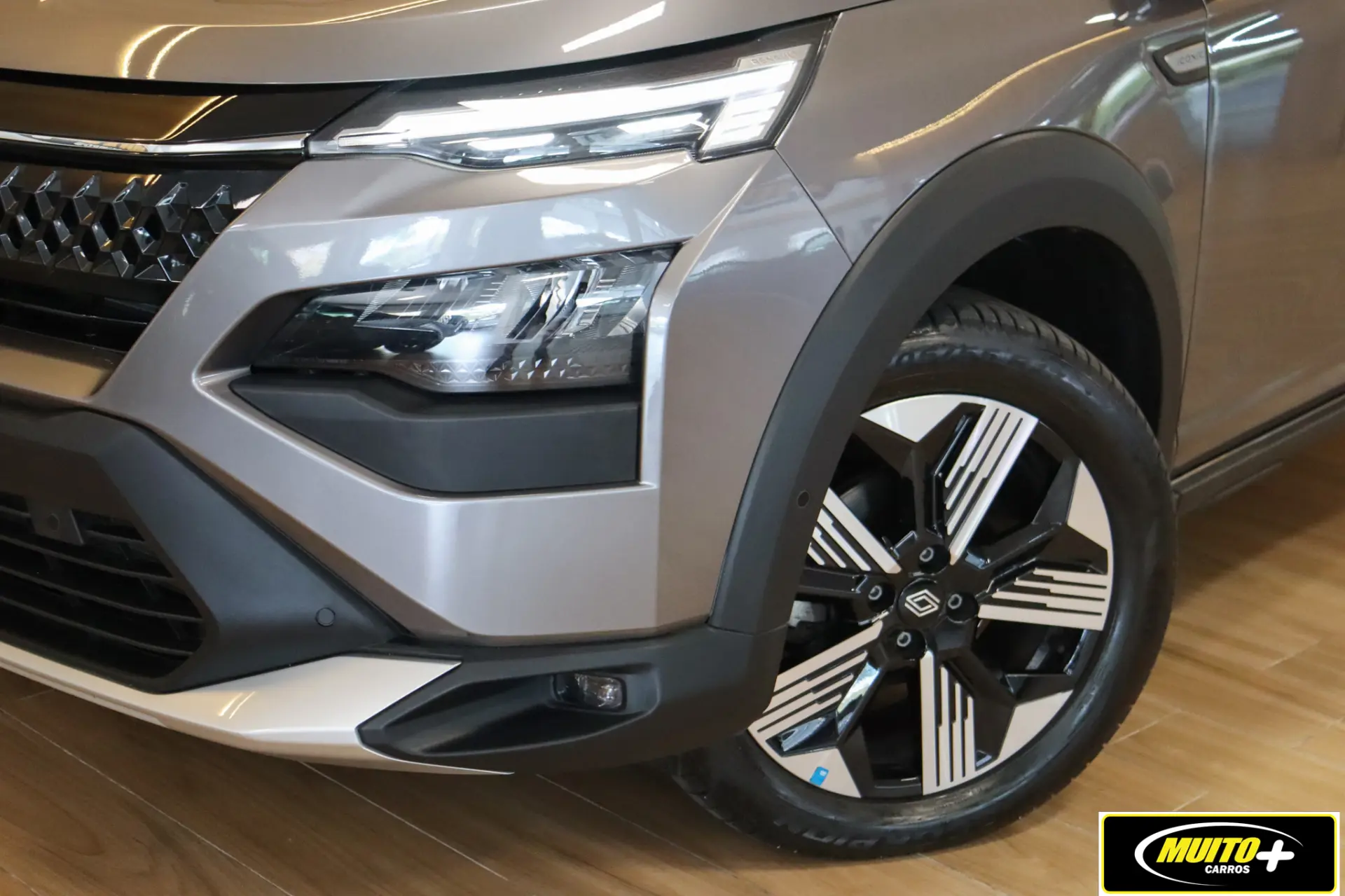 Renault Kardian — foto 15